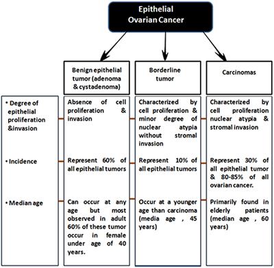 Epigenetic Biomarkers in the Management of Ovarian Cancer: Current Prospectives